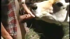 animal-porn,sex-movie