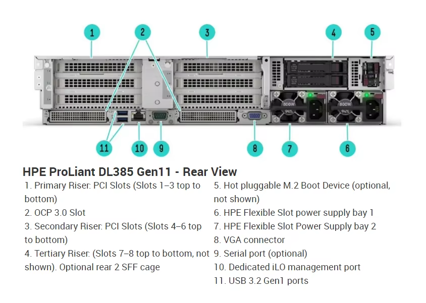 dl385 gen11 gpu